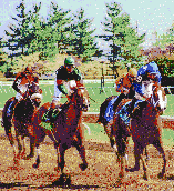 Horse Racing (Keeneland Race Track) - Mosaic Art