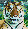 Siberian Tiger - Mosaic Art