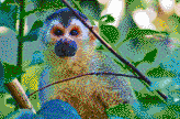 Central American Squirrel Monkey - Mosaic Art