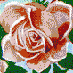 Fairy Rose (Pink) - Mosaic Art