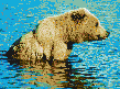 Brown Bear in Creek - Mosaic Art
