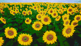 Sunflower Fields - Mosaic Art