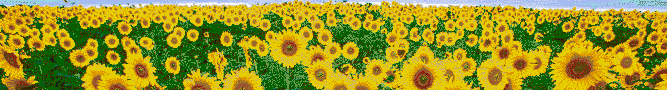 Sunflower Sky - Mosaic Art