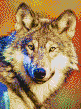 Grey Wolf - Mosaic Art