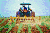 Tractor cultivating soybeans - Mosaic Art