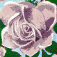 Fairy Rose (Lilac) - Mosaic Art