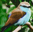Blue Breasted Bird - Mosaic Art