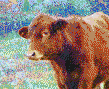 Simmental Calf (Cow) - Mosaic Art